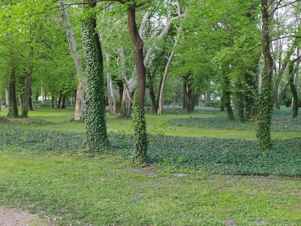 Nelli Apartman Appartement Keszthely Buitenkant foto